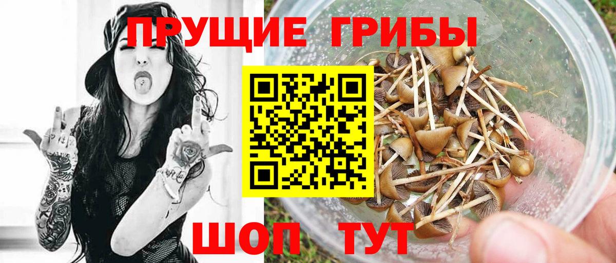 Галлюциногенные грибы MAGIC MUSHROOMS Тверь