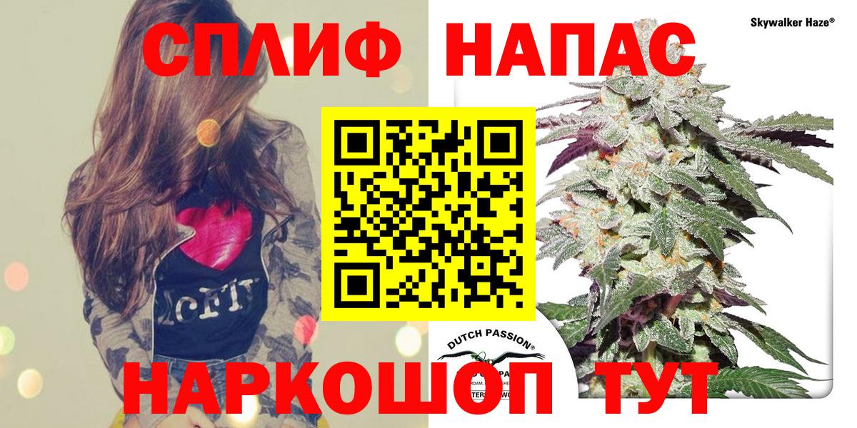 Бошки марихуана MAZAR  Вход с VPN  Тверь  Марихуана план  Бошки Шишки AK-47 